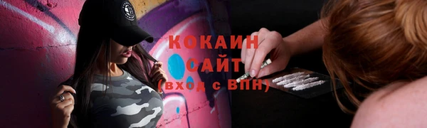 PSILOCYBIN Ельня