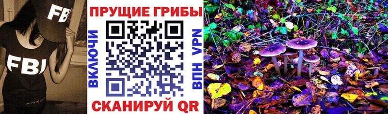 Галлюциногенные грибы MAGIC MUSHROOMS  omg ССЫЛКА  Уяр  купить наркотики сайты 